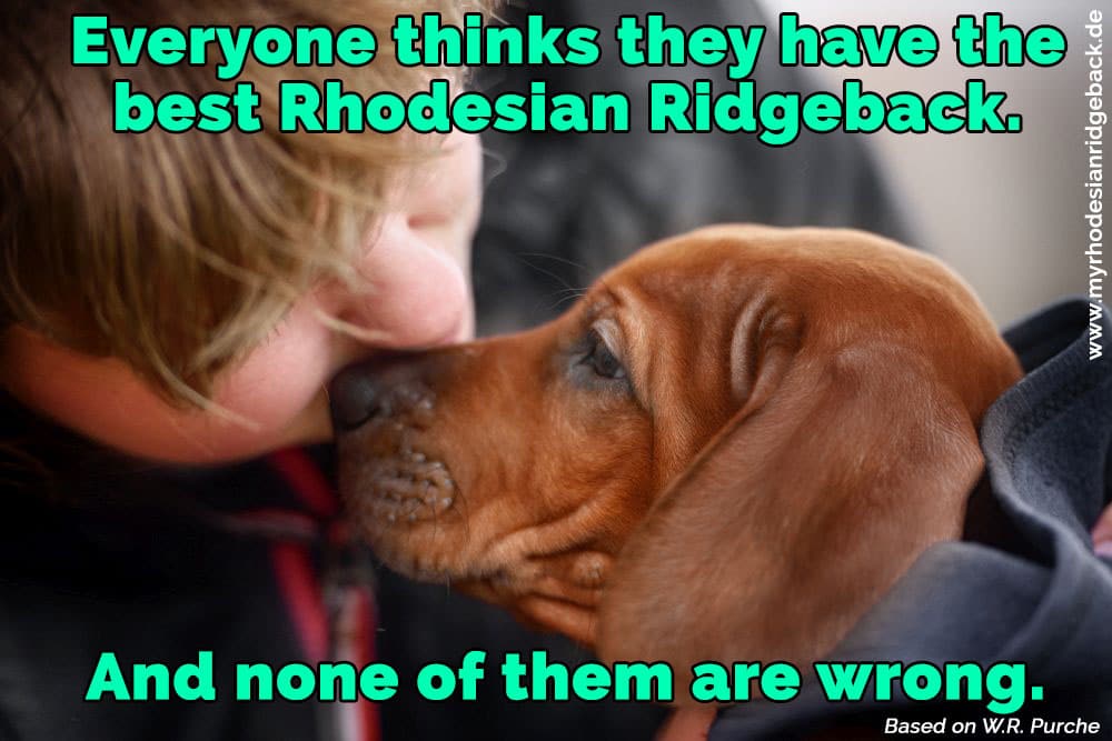 Ein Mädchen küsst ihren Rhodesian Ridgeback