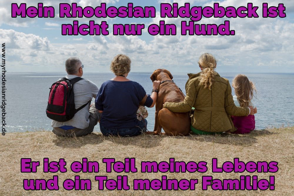 Eine Familie auf dem Stein mit Ihrem Rhodesian Ridgeback sitzt